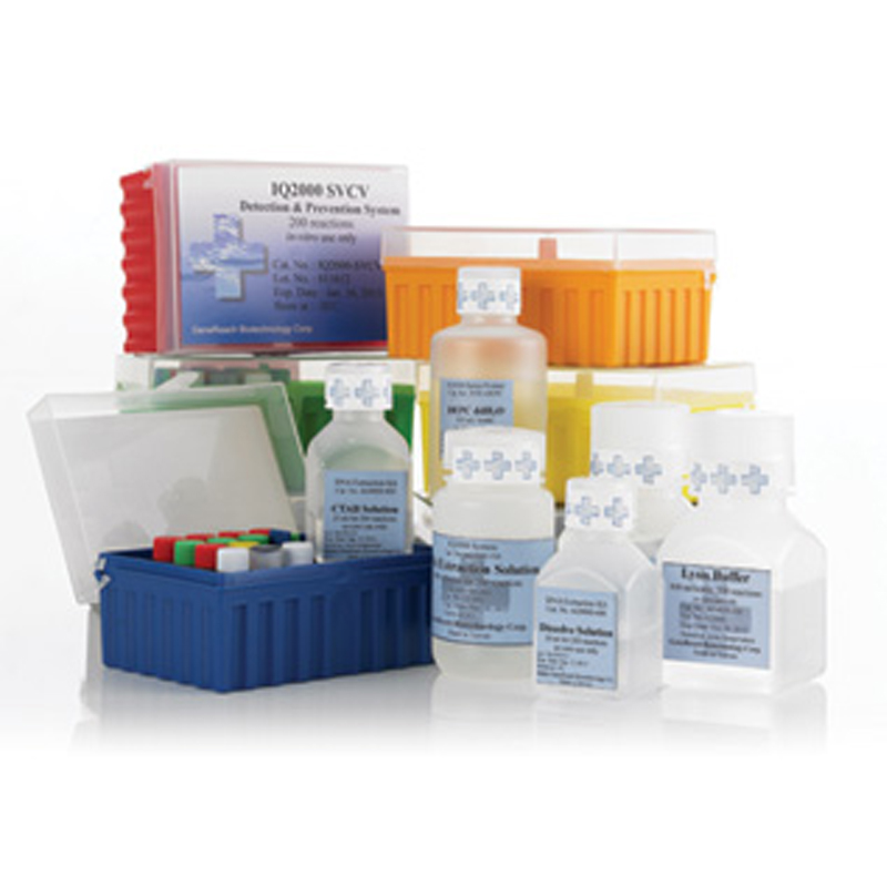 KIT PHÁT HIỆN BỆNH TÔM IQ2000™